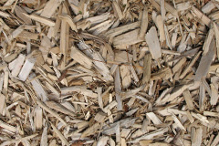 biomass boilers Berriedale