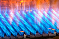 Berriedale gas fired boilers